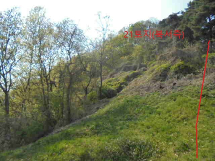 충청북도 충주시 단월동 산57 임야 경매 사진 10
