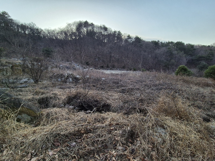 경상북도 영주시 봉현면 한천리 463-1 외 2필지 과수원 경매 사진 14