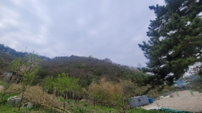 경상남도 함안군 칠원읍 용정리 산42-11 임야 경매 사진 17