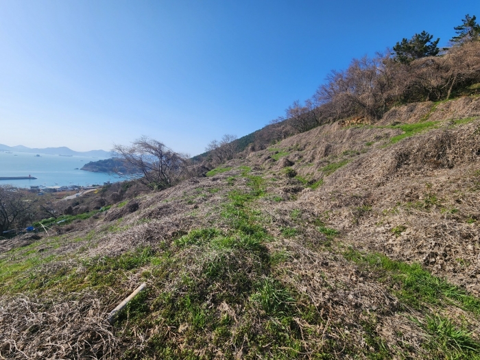 경상남도 남해군 남면 선구리 464-2 외 1필지 전 경매 사진 4