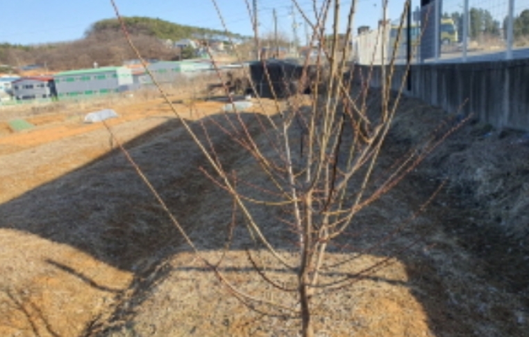 경기도 김포시 하성면 석탄리 347-2 외 2필지 공장 경매 사진 22