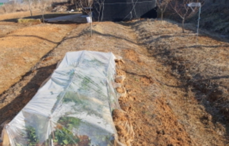 경기도 김포시 하성면 석탄리 347-2 외 2필지 공장 경매 사진 23