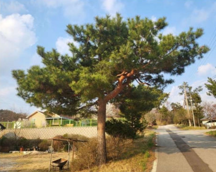 충청북도 음성군 감곡면 상우리 506 외 10필지 단독주택 경매 사진 105