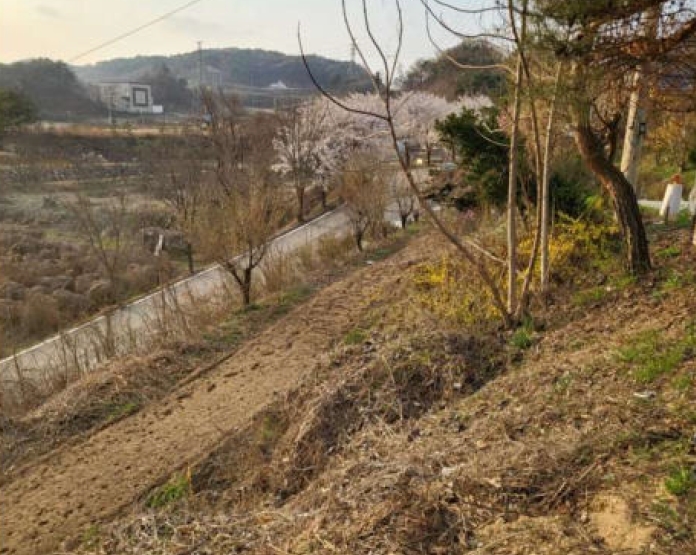 충청북도 음성군 감곡면 상우리 506 외 10필지 단독주택 경매 사진 24