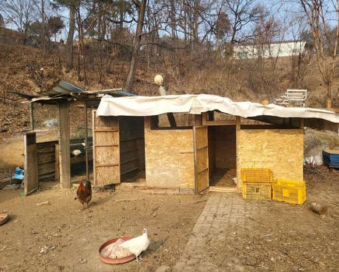 충청북도 음성군 감곡면 상우리 506 외 10필지 단독주택 경매 사진 53