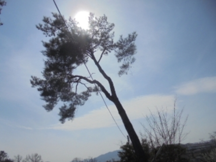 충청북도 음성군 감곡면 상우리 506 외 10필지 단독주택 경매 사진 63