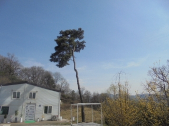 충청북도 음성군 감곡면 상우리 506 외 10필지 단독주택 경매 사진 94
