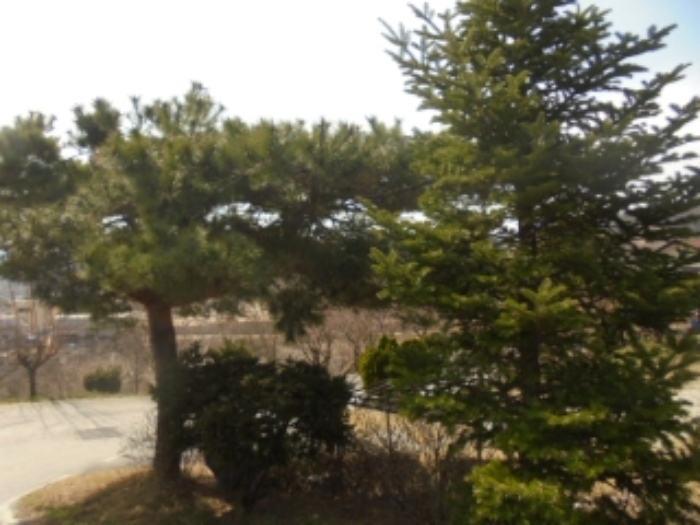 충청북도 음성군 감곡면 상우리 506 외 10필지 단독주택 경매 사진 96