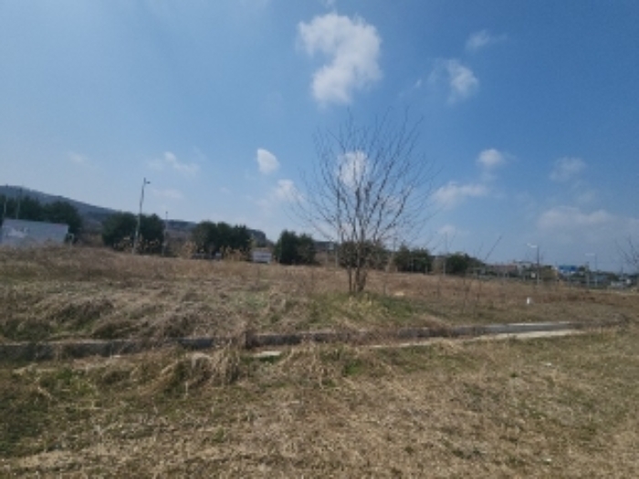 인천광역시 중구 운북동 1272-15 외 1필지 대지 경매 사진 3