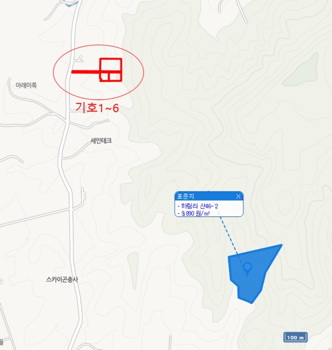 경기도 여주시 대신면 하림리 304-15 외 5필지 임야 경매 사진 33