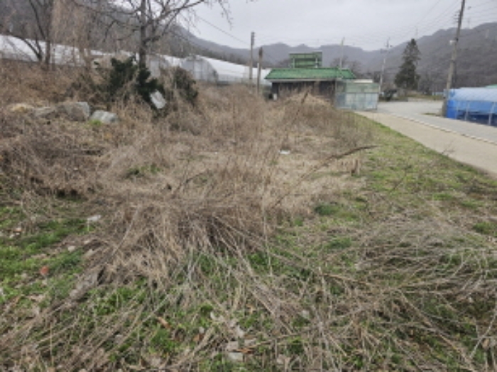 충청남도 천안시 서북구 입장면 호당리 89-3 외 4필지 근린생활시설 경매 사진 2
