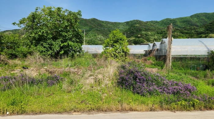 충청남도 천안시 서북구 입장면 호당리 89-3 외 4필지 근린생활시설 경매 사진 19