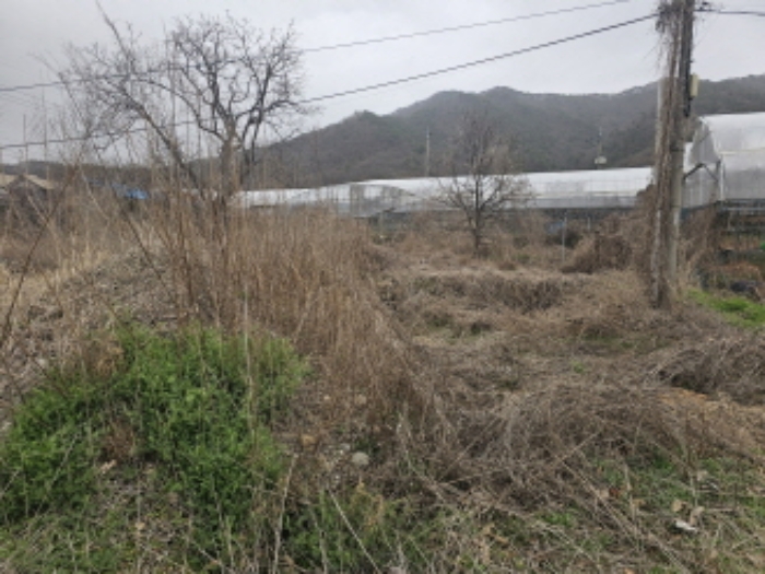 충청남도 천안시 서북구 입장면 호당리 89-3 외 4필지 근린생활시설 경매 사진 3