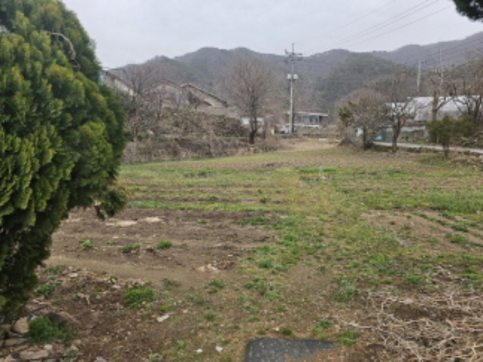 충청남도 천안시 서북구 입장면 호당리 89-3 외 4필지 근린생활시설 경매 사진 8