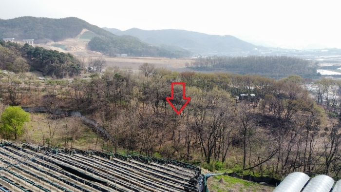 경기도 안성시 서운면 북산리 194-1 임야 경매 사진 25