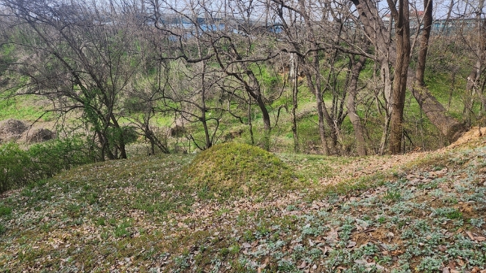 경기도 안성시 서운면 북산리 194-1 임야 경매 사진 27