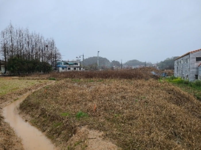 광주광역시 북구 월출동 91 외 1필지 답 경매 사진 1