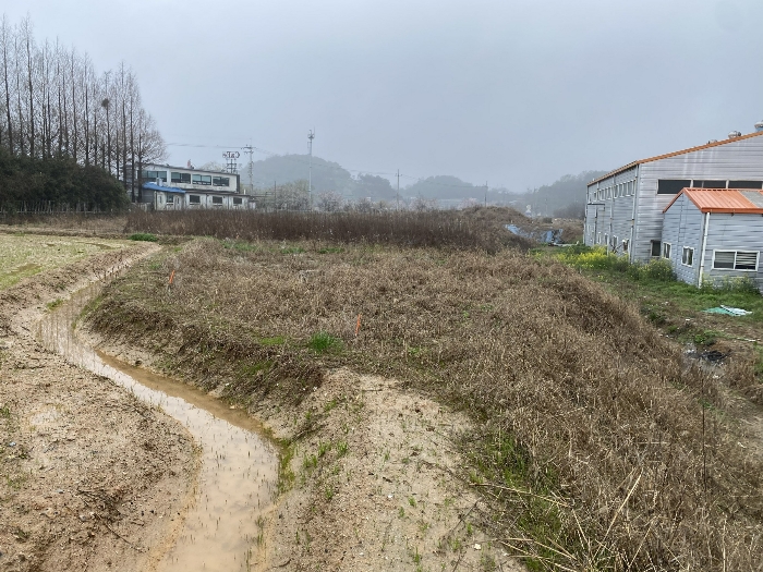 광주광역시 북구 월출동 91 외 1필지 답 경매 사진 4