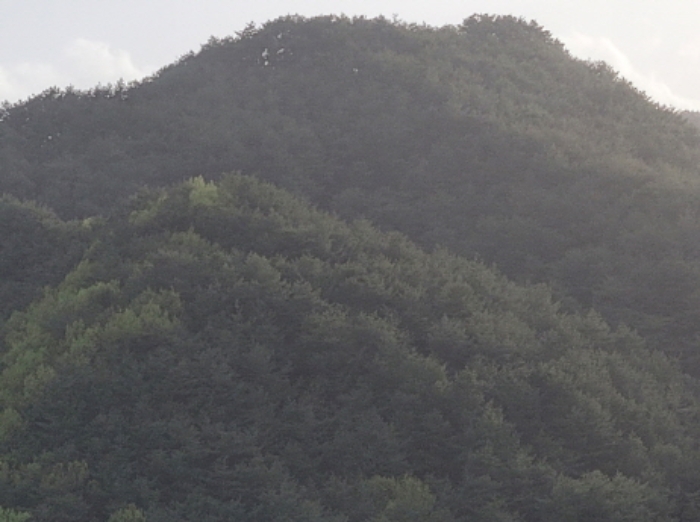 경상북도 울진군 북면 주인리 1267 외 1필지 전 경매 사진 1