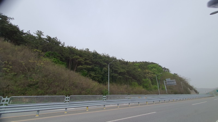 경상남도 창원시 마산합포구 구산면 반동리 산11-1 임야 경매 사진 10
