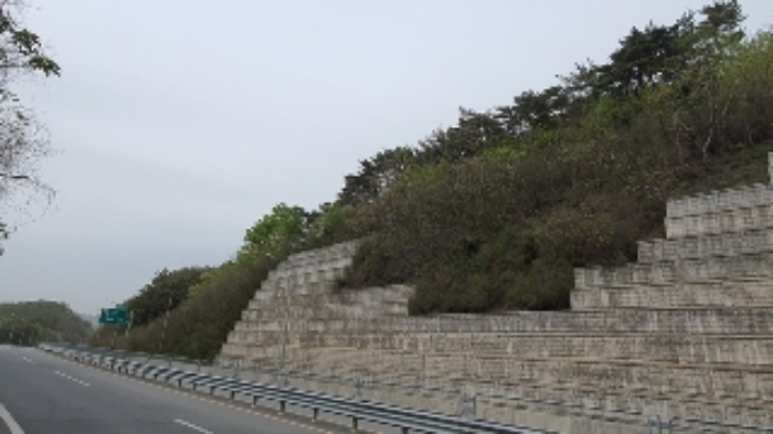 경상남도 창원시 마산합포구 구산면 반동리 산11-1 임야 경매 사진 11