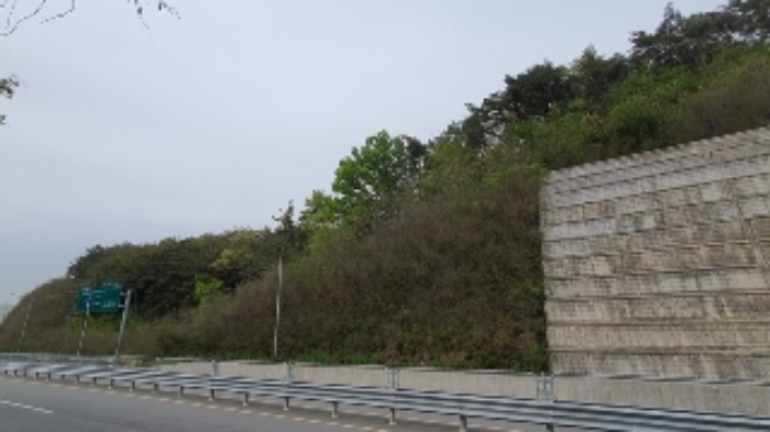경상남도 창원시 마산합포구 구산면 반동리 산11-1 임야 경매 사진 12