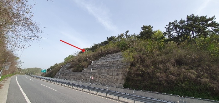 경상남도 창원시 마산합포구 구산면 반동리 산11-1 임야 경매 사진 14
