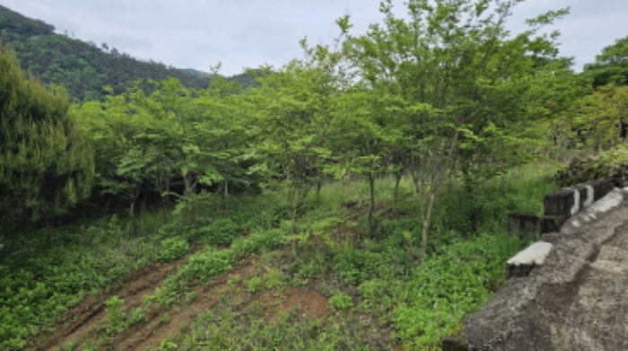전라남도 순천시 서면 대구리 267-3 외 1필지 임야 경매 사진 12