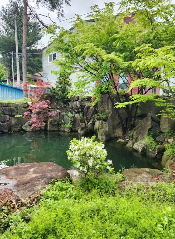 충청북도 충주시 살미면 용천리 551-1 외 3필지 공장 경매 사진 26
