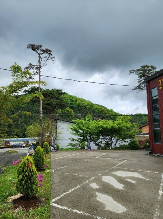 충청북도 충주시 살미면 용천리 551-1 외 3필지 공장 경매 사진 28