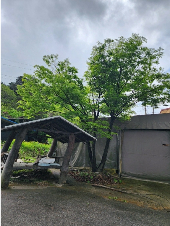 충청북도 충주시 살미면 용천리 551-1 외 3필지 공장 경매 사진 30