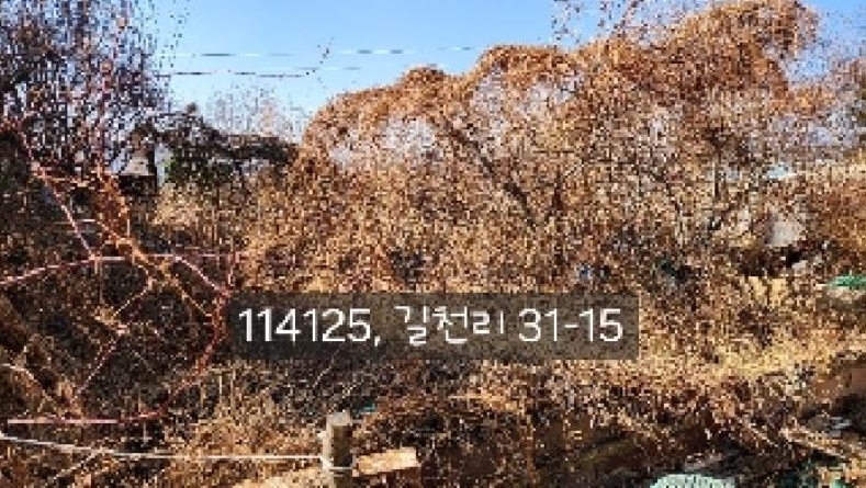 부산광역시 기장군 장안읍 길천리 31-15 외 3필지 임야 경매 사진 15
