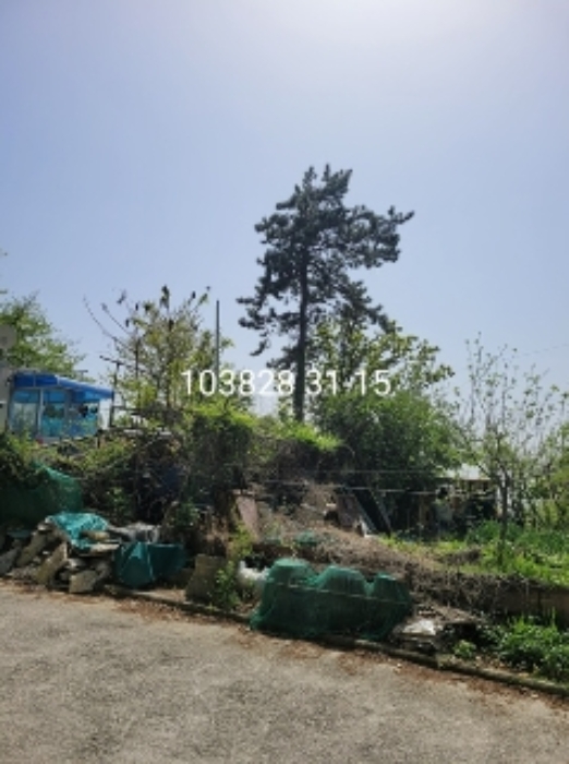 부산광역시 기장군 장안읍 길천리 31-15 외 3필지 임야 경매 사진 22
