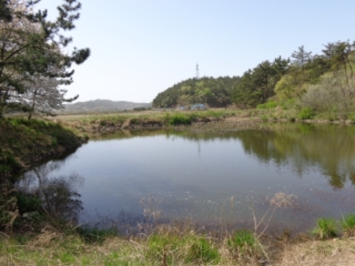충청남도 태안군 소원면 소근리 산9-43 임야 경매 사진 2