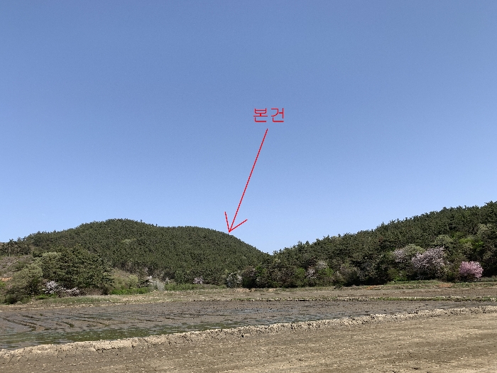 충청남도 태안군 소원면 소근리 산9-43 임야 경매 사진 18