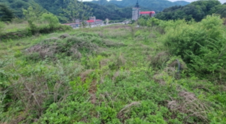 경기도 가평군 청평면 상천리 산201 외 25필지 임야 경매 사진 18