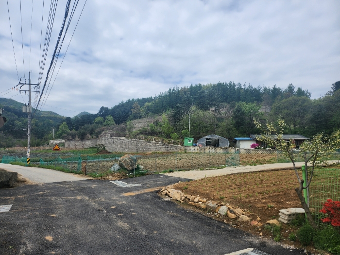 경기도 가평군 청평면 상천리 산201 외 25필지 임야 경매 사진 61