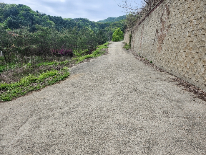 경기도 가평군 청평면 상천리 산201 외 25필지 임야 경매 사진 73