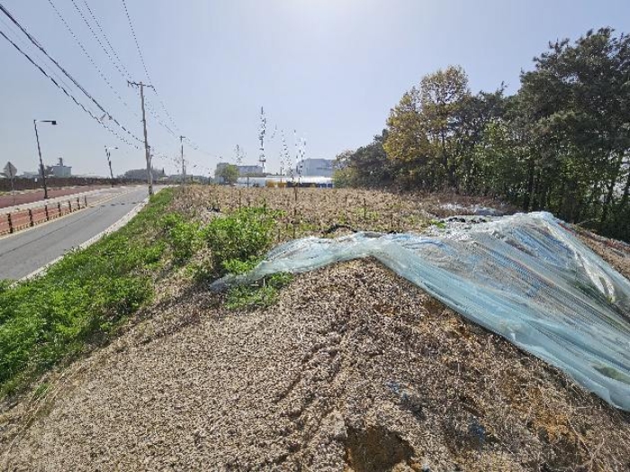 경기도 여주시 가남읍 본두리 770-15 외 4필지 전 경매 사진 14
