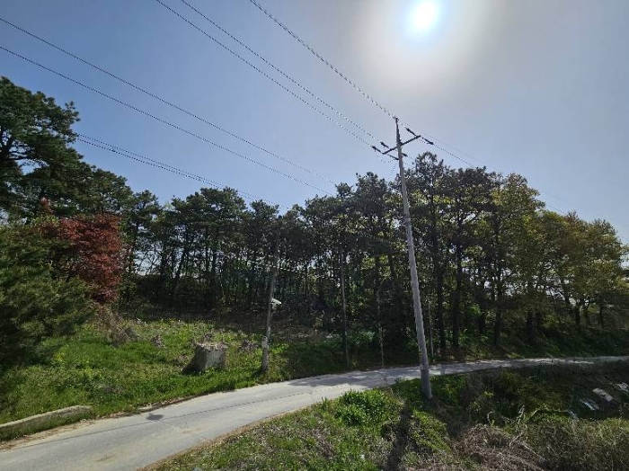경기도 여주시 가남읍 본두리 770-15 외 4필지 전 경매 사진 25
