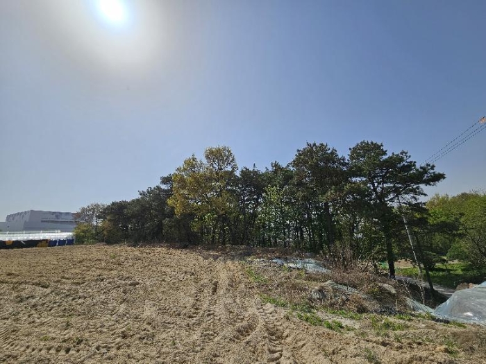 경기도 여주시 가남읍 본두리 770-15 외 4필지 전 경매 사진 5
