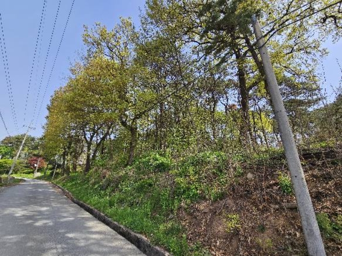 경기도 여주시 가남읍 본두리 770-15 외 4필지 전 경매 사진 7