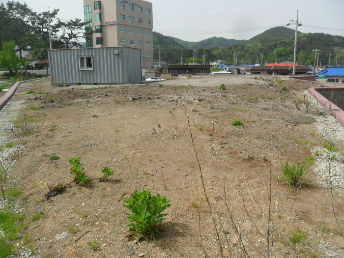 경상북도 경주시 감포읍 오류리 24-2 외 6필지 대지 경매 사진 8