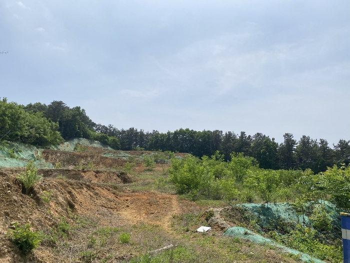 경기도 용인시 처인구 모현읍 매산리 95-3 외 6필지 임야 경매 사진 18