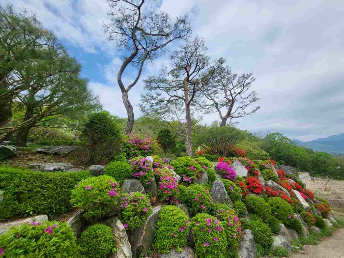 경기도 양평군 개군면 공세리 139 외 16필지 답 경매 사진 41