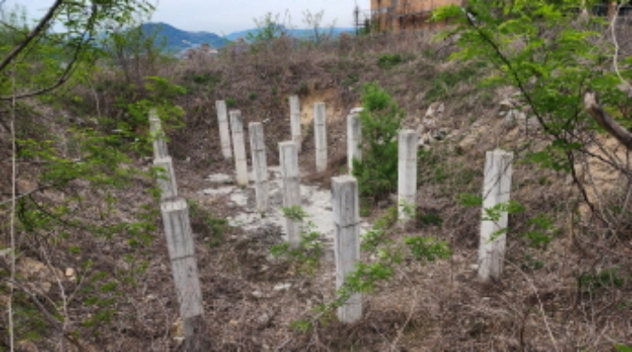 충청북도 제천시 송학면 시곡리 555-1 외 3필지 임야 경매 사진 11