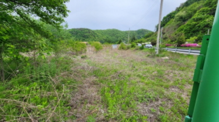 충청북도 제천시 송학면 시곡리 555-1 외 3필지 임야 경매 사진 12