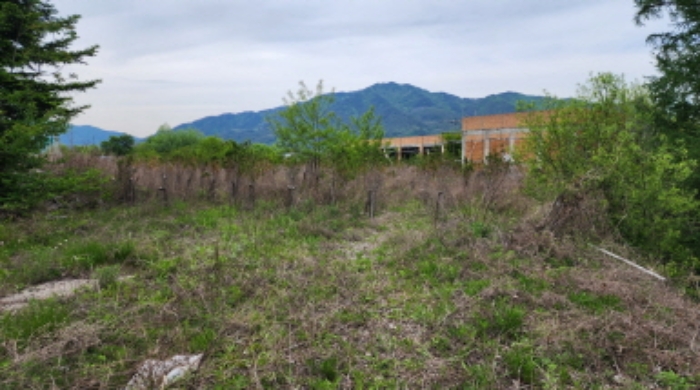 충청북도 제천시 송학면 시곡리 555-1 외 3필지 임야 경매 사진 15
