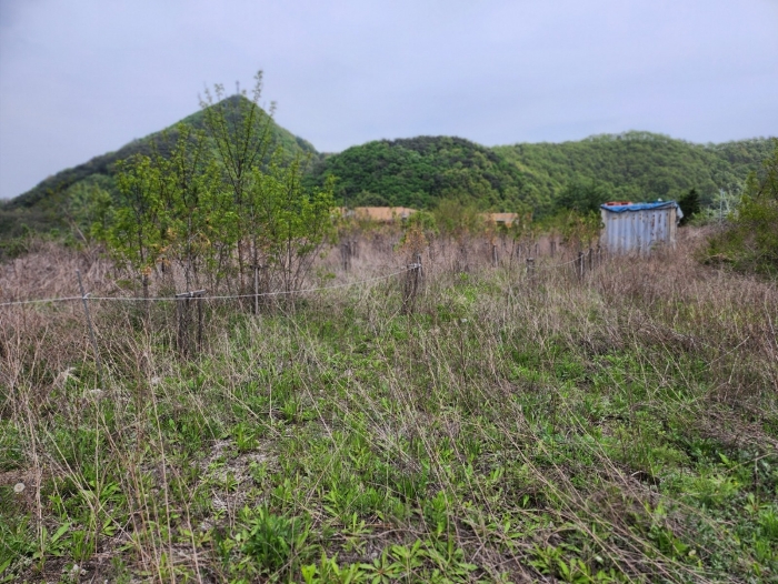 충청북도 제천시 송학면 시곡리 555-1 외 3필지 임야 경매 사진 25