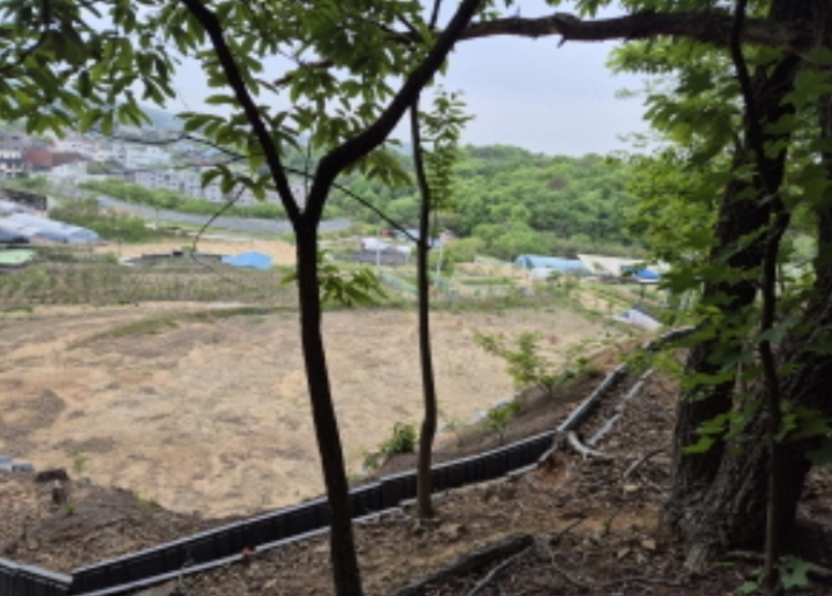 세종특별자치시 장군면 봉안리 246-7 외 3필지 임야 경매 사진 12